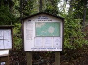 Newton Creek Oct 16 2005 048 